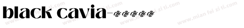 black cavia字体转换